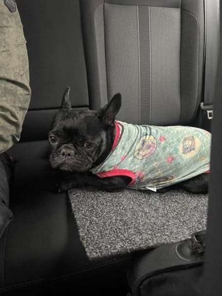 Vermittlungshilfe für Gudrun