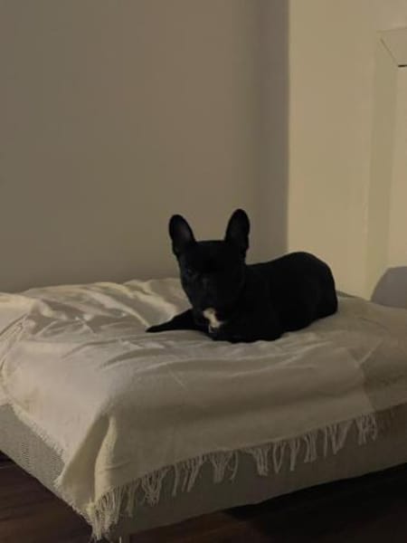 Vermittlungshilfe für Gudrun