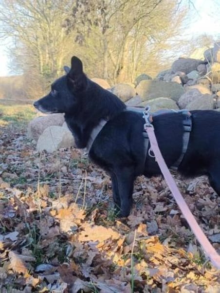 ELENYA -sensibel & feinfühlig-