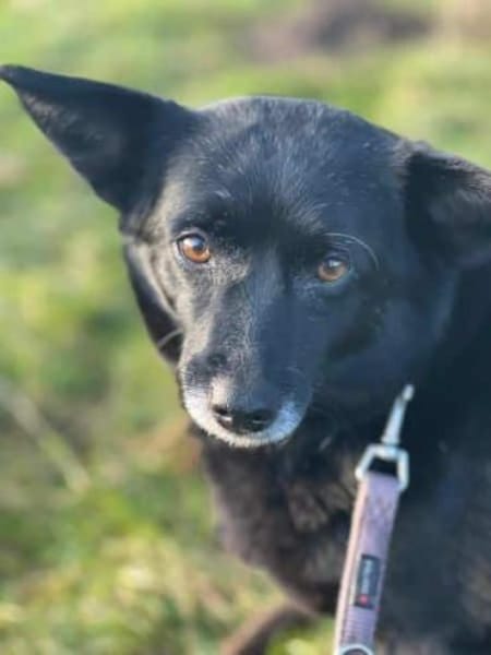 ELENYA -sensibel & feinfühlig-