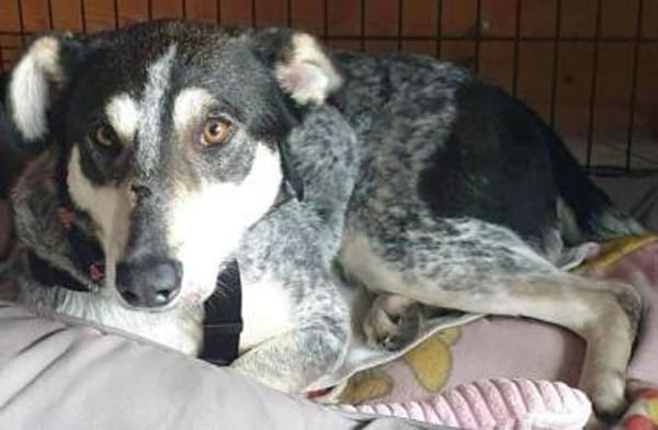 MARAYA -angenehme Zeitgenossin-