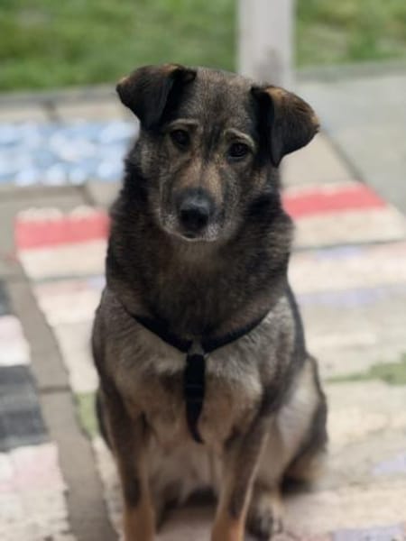 Alva bereit für Liebe, Leben und Lernen