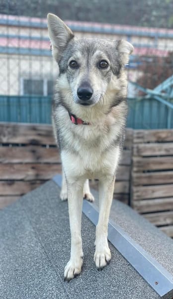 LOBITA 💝 unsere Rarität