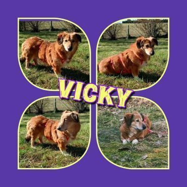 süße kleine Vicky auf PS in 90562