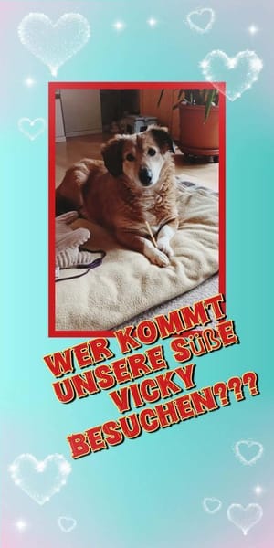 süße kleine Vicky auf PS in 90562