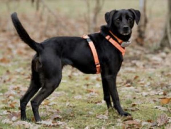 VILA - süße Herzensbrecherin