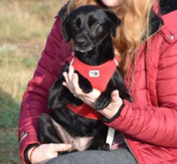 VILA - süße Herzensbrecherin