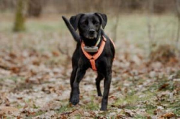 VILA - süße Herzensbrecherin