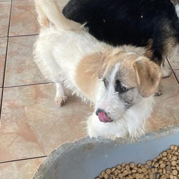 Tammy ❤ kleiner lieber Sonnenschein