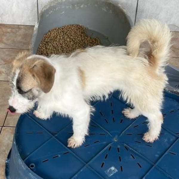 Tammy ❤ kleiner lieber Sonnenschein