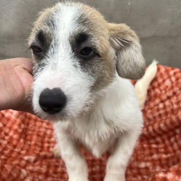 Tammy ❤ kleiner lieber Sonnenschein