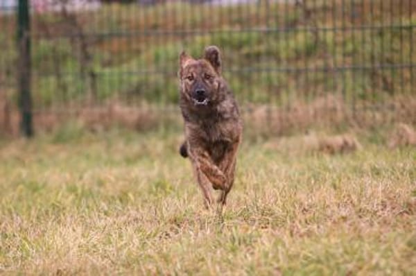 Mila wartet auf ihre Familie