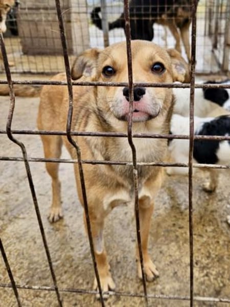 ADINA - in 23560 Lübeck