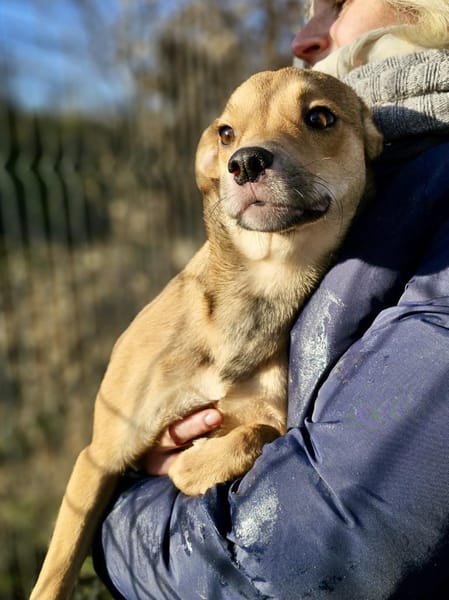 ADINA - in 23560 Lübeck