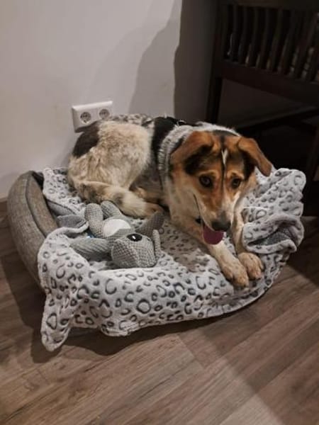 Fidji - unkompliziert sucht Dich