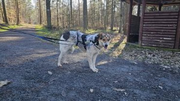 Fidji - unkompliziert sucht Dich