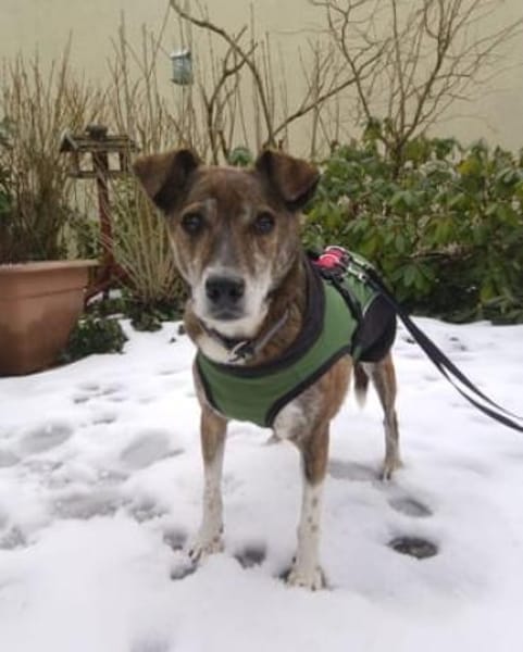 Ganya schließt man sofort ins Herz!