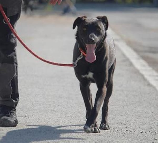 Maliah ist aufgeschlossen + mag Menschen