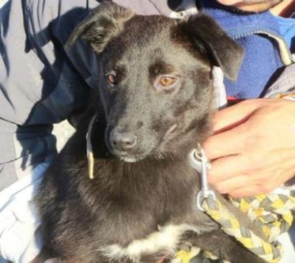 Maliah ist aufgeschlossen + mag Menschen