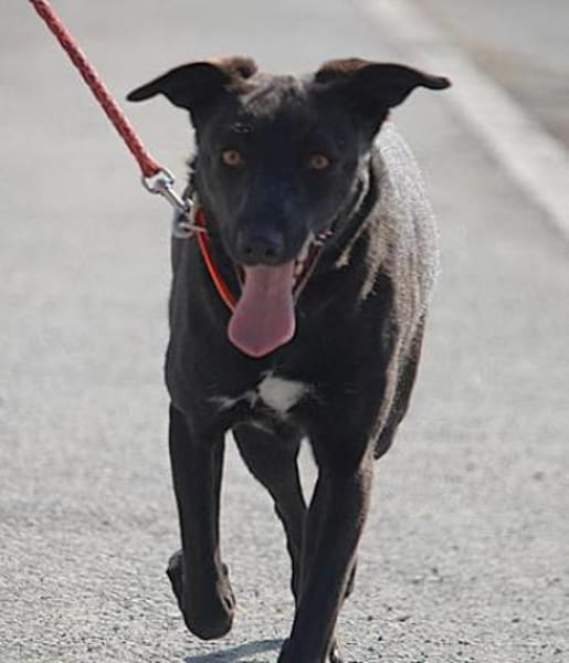 Maliah ist aufgeschlossen + mag Menschen