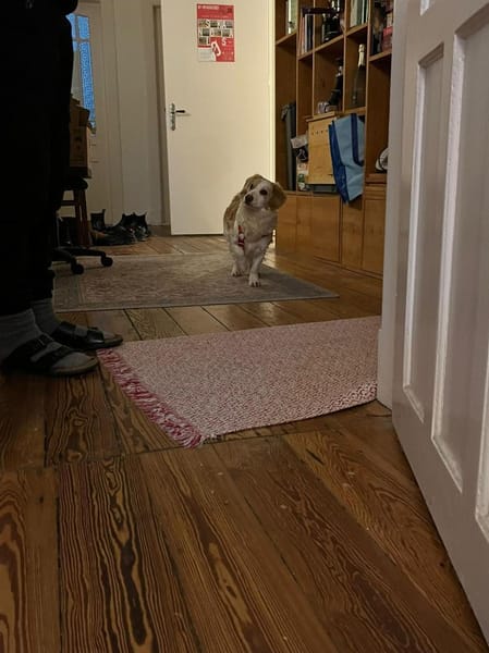 Darius wartet auf PS in HH