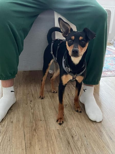 Vitalina wartet auf PS in HH!