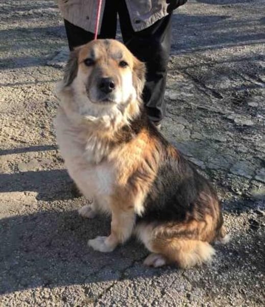 Neele ist so offen, föhlich + so lieb!