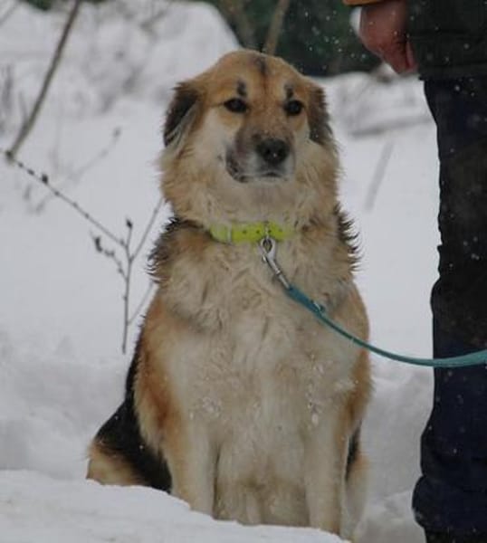 Neele ist so offen, föhlich + so lieb!