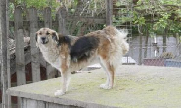 Neele ist so offen, föhlich + so lieb!