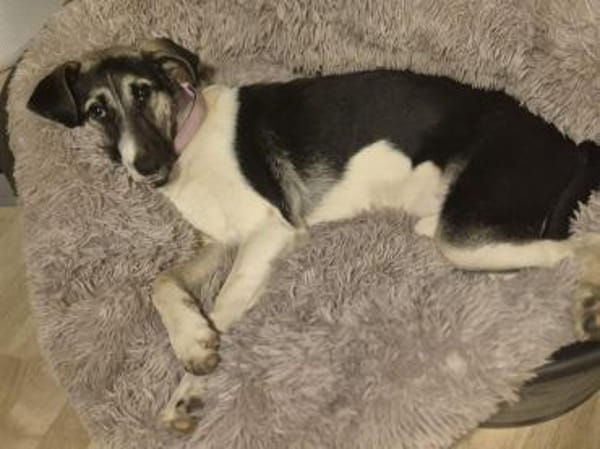 💕Sanya wartet auf ihre eigene Familie💕