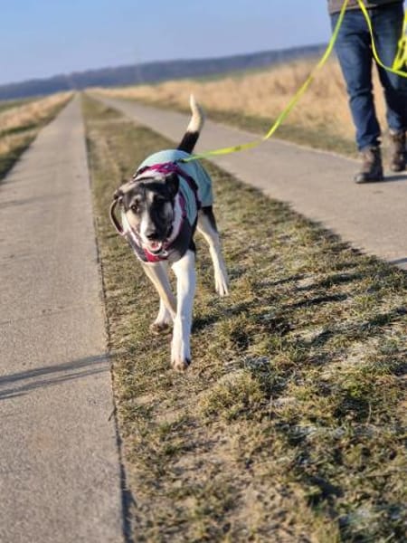 💕Sanya wartet auf ihre eigene Familie💕