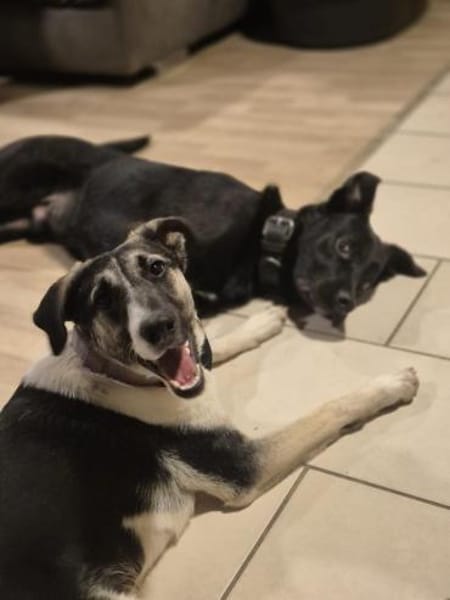 💕Sanya wartet auf ihre eigene Familie💕