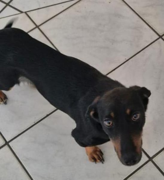 Candy° in 41472 Neuss