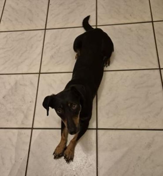 Candy° in 41472 Neuss