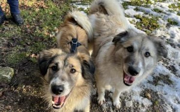 Shine möchte dein Leben erhellen