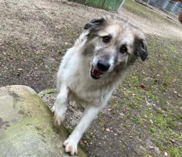 Shine möchte dein Leben erhellen