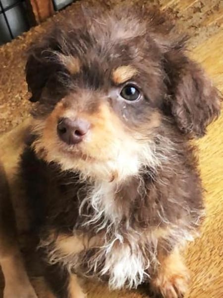 Pepe sein Traum ist eine eigene Familie