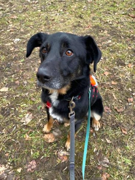 Ikarus, freundlich, aufgeschlossen