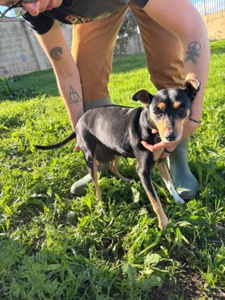 Gnadenplatz für Anette