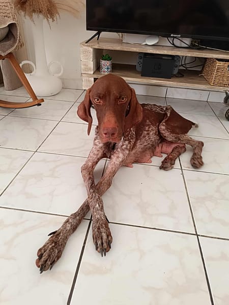 Kiara, je suis très sage