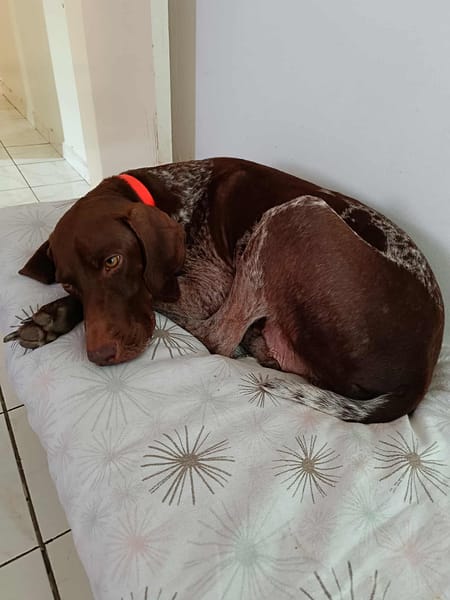 Kiara, je suis très sage