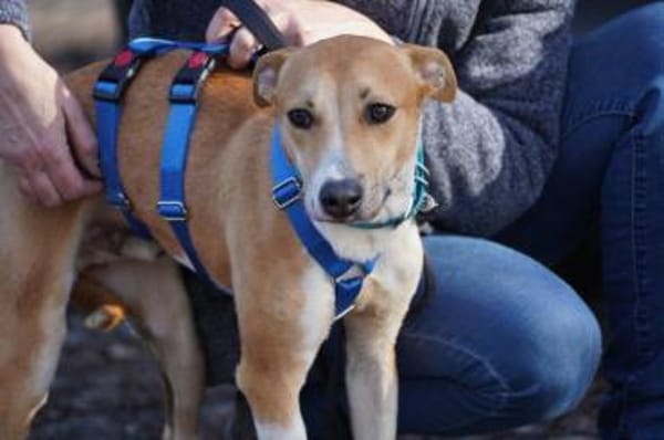 Olimpo sucht seine Menschen