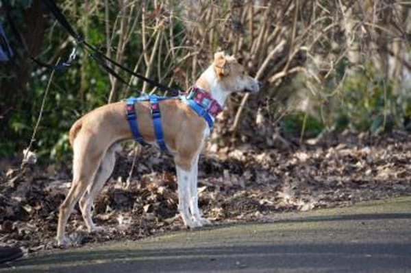 Olimpo sucht seine Menschen