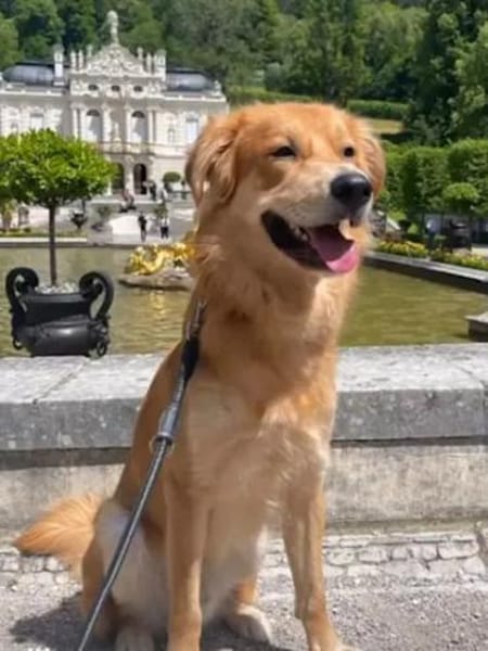 OREO - er sucht sein Glück