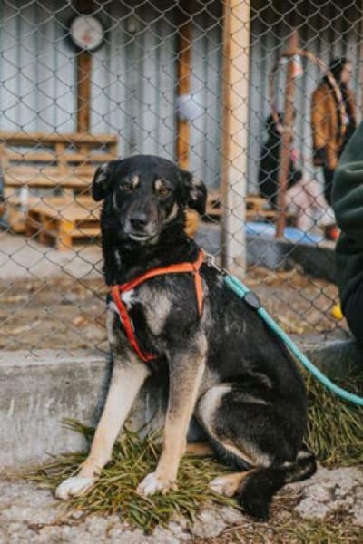 Karina - neugieriges, herziges Madl