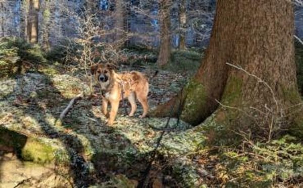 Kiani ist bereit für Abenteuer!