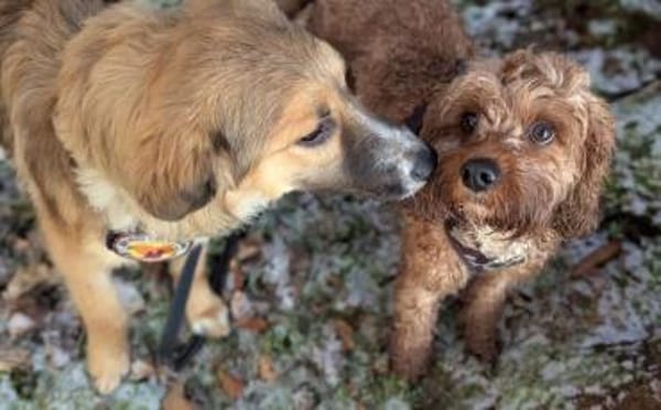 Kiani ist bereit für Abenteuer!