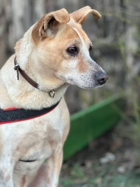 Arby 3/23 m auf der Suche