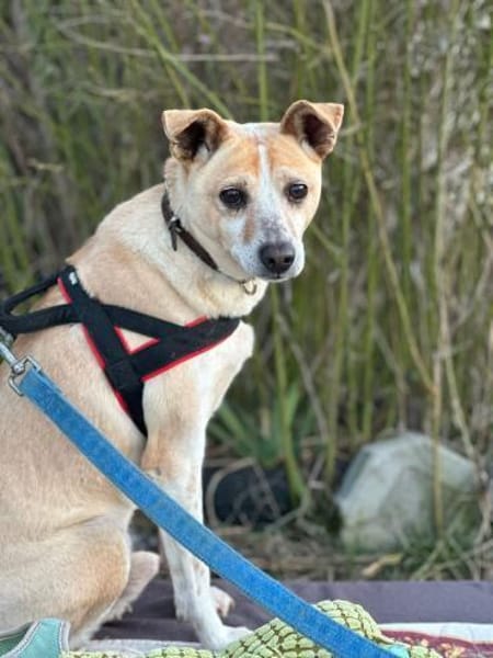 Arby 3/23 m auf der Suche