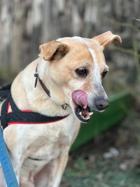 Arby 3/23 m auf der Suche